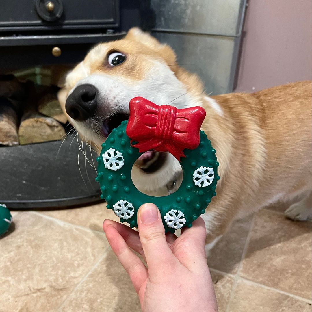 Pet gifts at Poundland